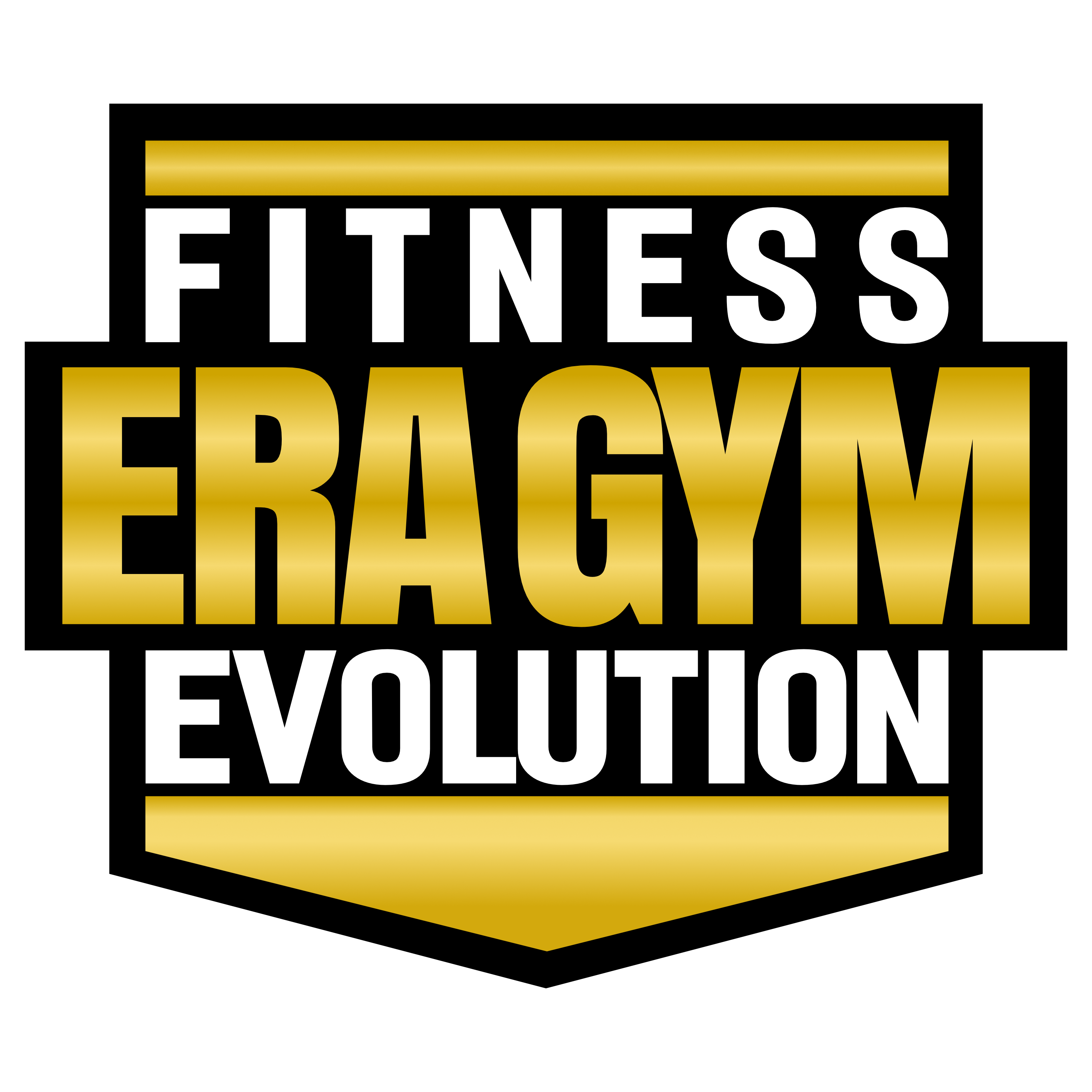 Era Gym GmbH &amp; Co. KG